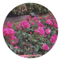 Congratulations! stickers