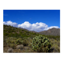 Congress Arizona Post Card
