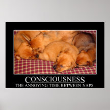 Consciousness: the annoying time between naps (L) Poster
