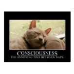 Consciousness: the annoying time between naps post cards