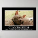 Consciousness: the annoying time between naps (S) Print