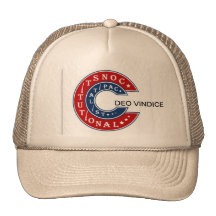 CONSTITUTIONAL CAPITALIST HAT