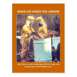 contact-your-local-hazmat-team post cards