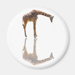CONTEMPLATION MAGNET