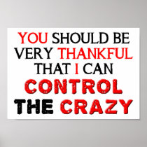 Control the Crazy Funny Poster posters
