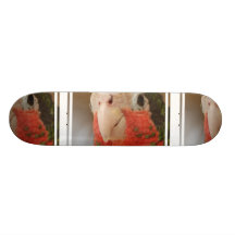 Conure Skate Board Decks