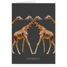 CONVERGENCE CARDS