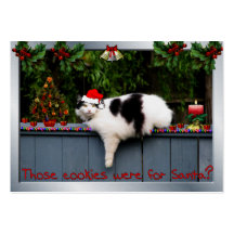 Cookie Loving Cat Business Card Templates