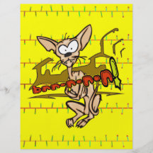 Cool Cat Full Color Flyer