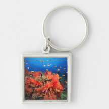 Coral and fish key chain