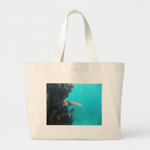 Coral Shelf Bags