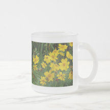 Coreopsis lanceolata coffee mugs