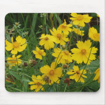 Coreopsis lanceolata mouse pads