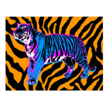 COREY TIGER 1980s RETRO VINTAGE WILD TIGER Post Cards