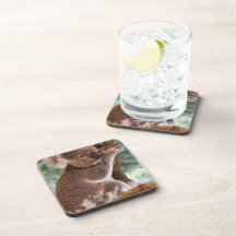 Cork Coaster - Customized