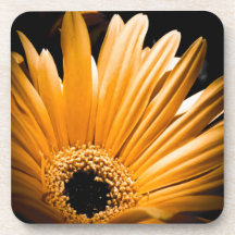 Cork Coaster - Gerbera Daisy
