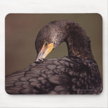 Cormorant Mousemats