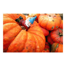 Cornelius Harvest Stationery