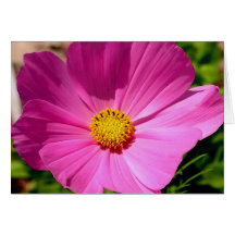 Cosmo Flower Customisable Cards