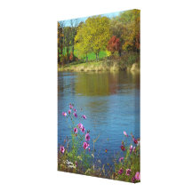 Cosmo flowers lake Canvas Print