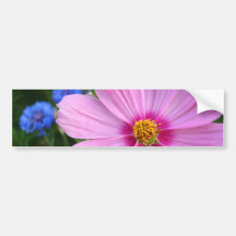 Cosmos, bumper sticker