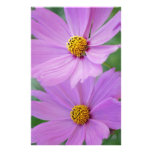 Cosmos flower personalized stationery