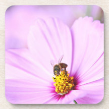 Cosmos for Lunch Beverage Coasters