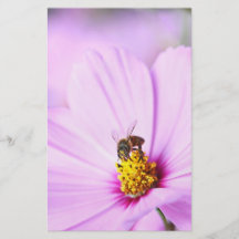 Cosmos for Lunch Custom Flyer
