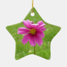 Cosmos ornament