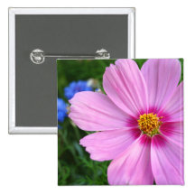Cosmos, square button