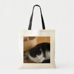 Cosy Cat Tote Bag