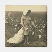 Cotton Field Refrigerator Magnet