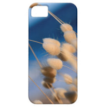 Cotton tails iPhone 5 cases