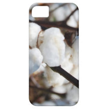 Cotton  the flower for 2nd anniversary iPhone 5 cover