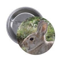 Cottontail Rabbit Buttons