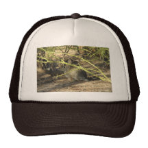 Cottontail Rabbit Hat