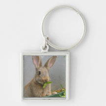 Cottontail Rabbit Keychain