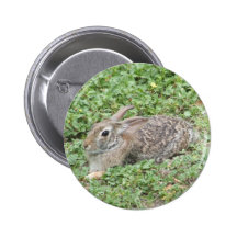 Cottontail rabbit pin