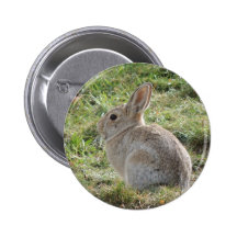 Cottontail Rabbit Pinback Button