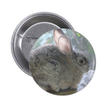 cottontail rabbit pinback buttons