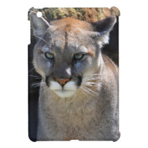 Cougar Mountain Lion Big Cat Photo iPad Case iPad Mini Covers