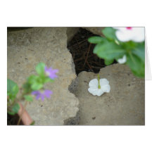 Count the Petals: A True Love Note Greeting Card