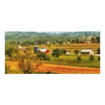 Country - Cows Grazing Custom Rack Card
