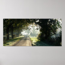 Country Road in Cheshire Posters