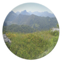 Country Views - Mountains Green plates