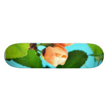 Couple Of Flower Buds Custom Skate Board