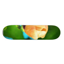 Couple Of Orange Flower Buds Skate Board Deck