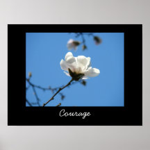 Courage Art Prints White Magnolia Flower Blue Sky
