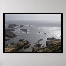 Cove Poster