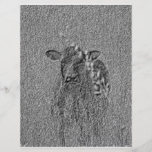 COW2 FLYER